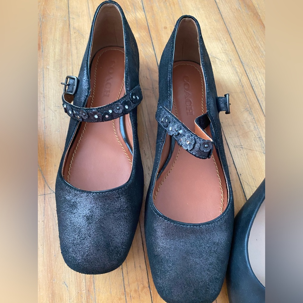 Coach Leather Flats